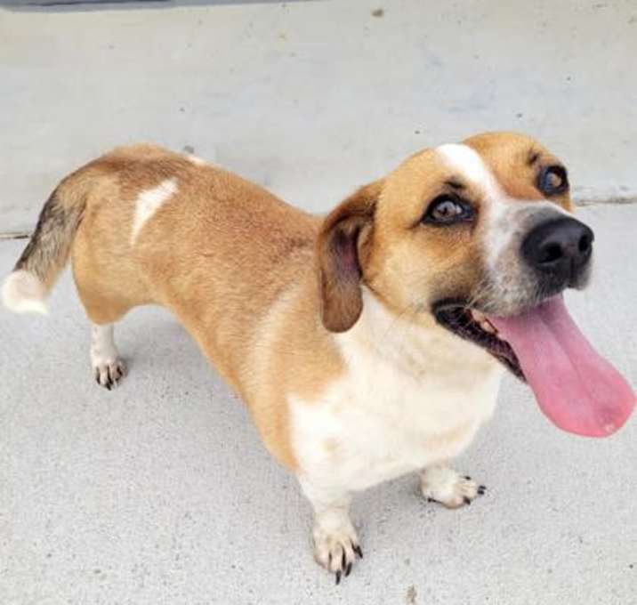 Photo of Ruby