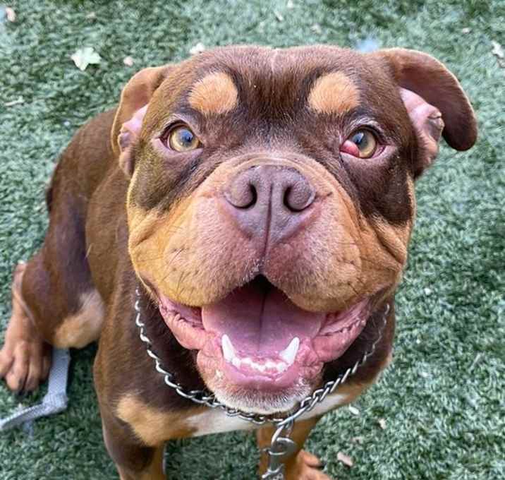 Photo of Crimson - ECAS