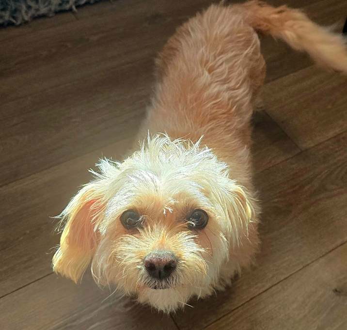 Photo of Coco