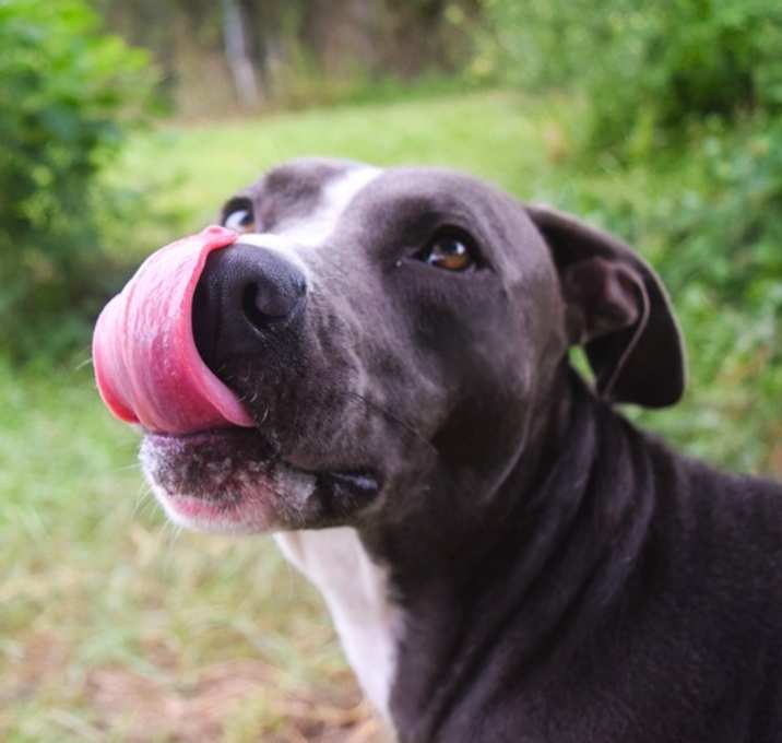 Photo of Gumbo