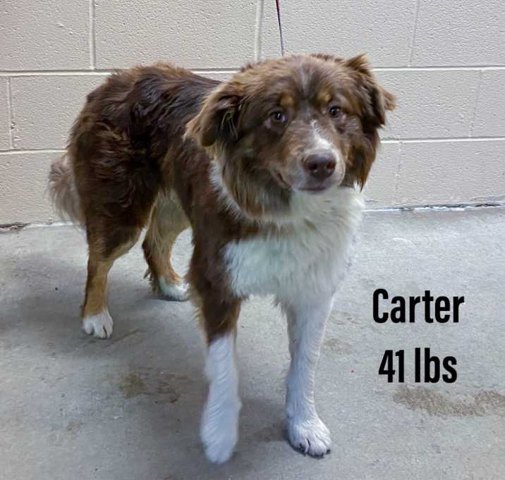 Photo of Carter