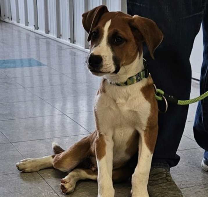 Photo of Clyde