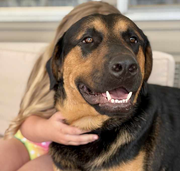 Photo of Hank