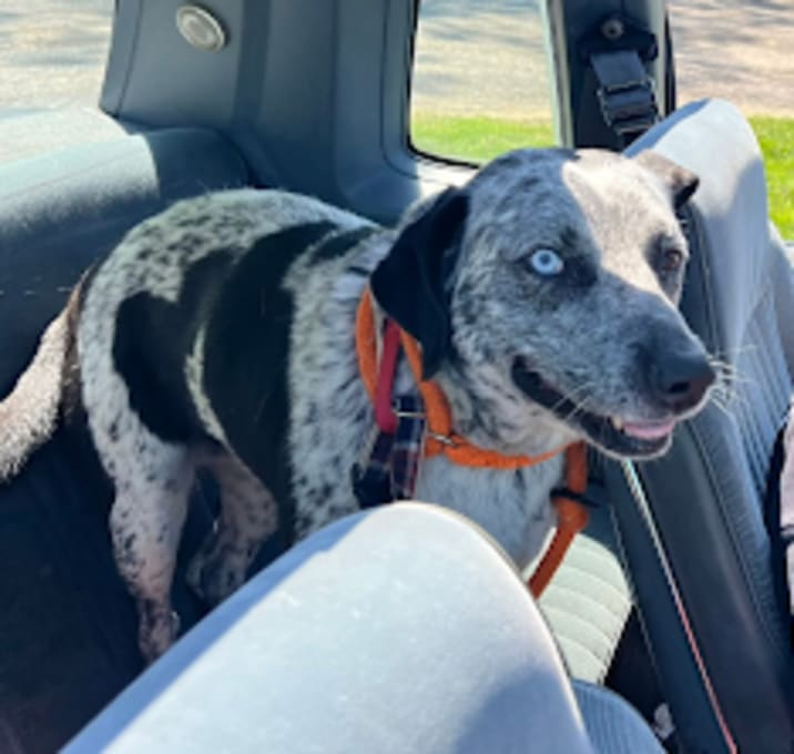 Photo of Blue