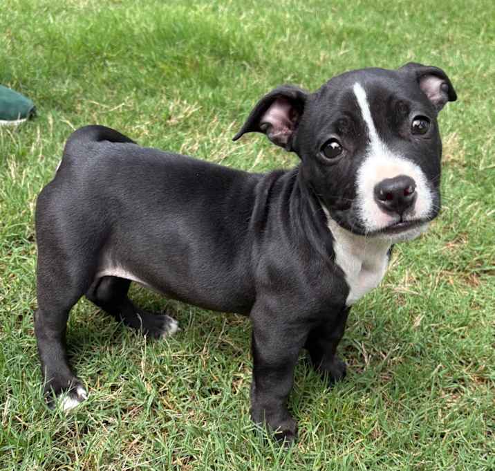 Photo of Lennox