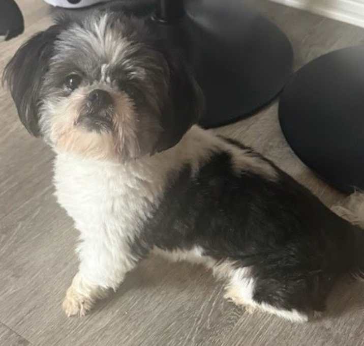 Photo of MOMO