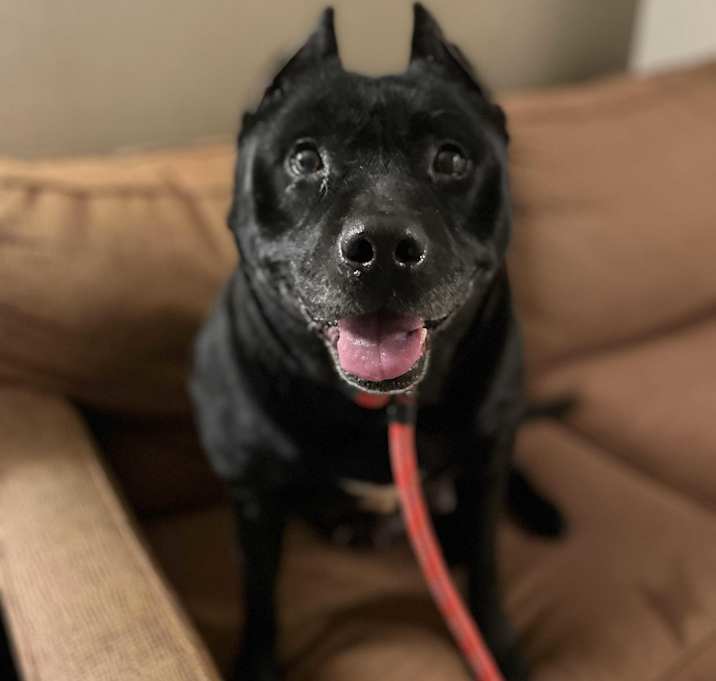 Photo of Kelsie (FEE SPONSORED)
