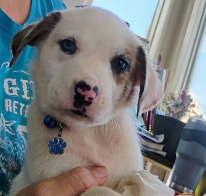 Photo of Finley