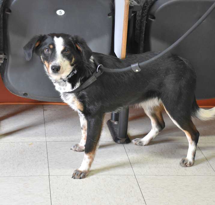 Photo of Mindy