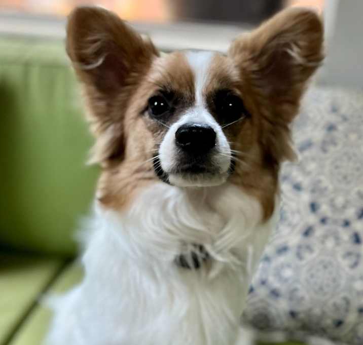 Photo of Clem