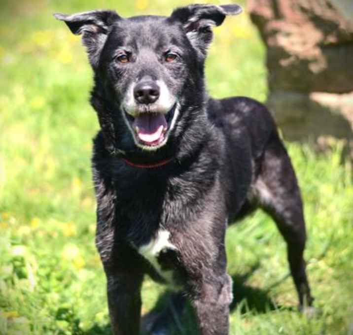 Photo of Race
