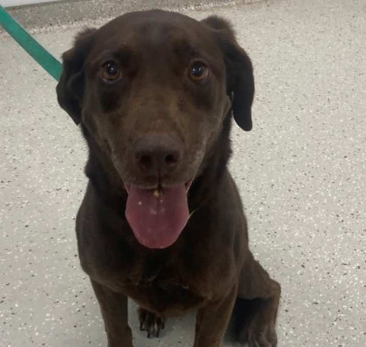 Photo of Rolo