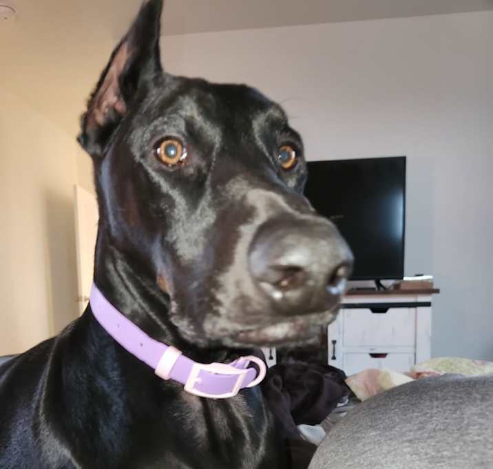 Photo of Lucy