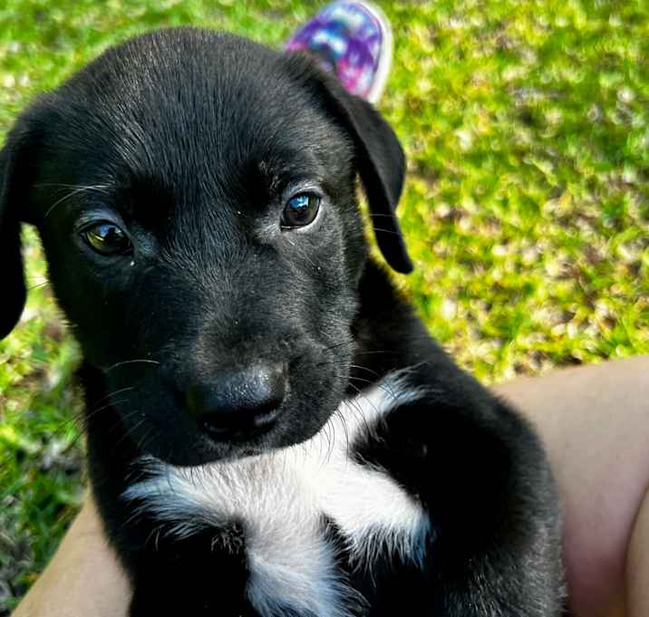 Photo of Willy
