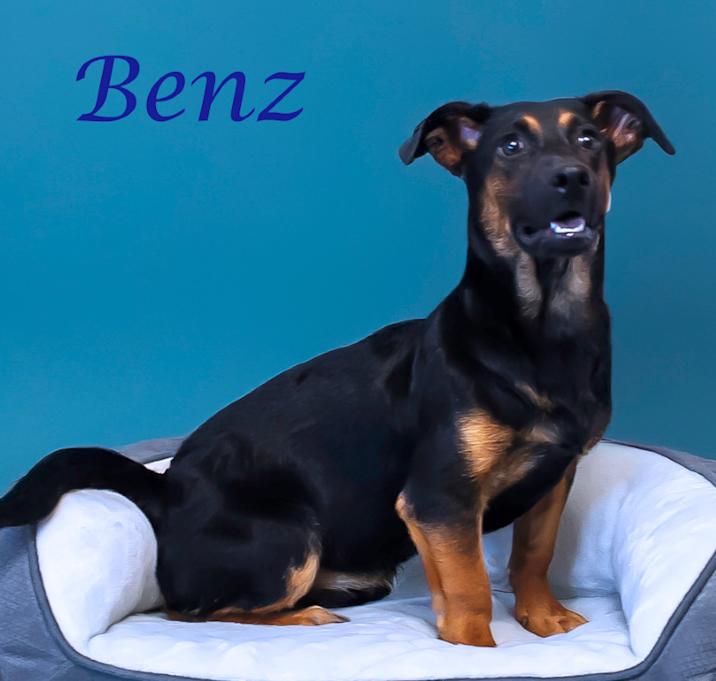 Photo of Benz D25-078