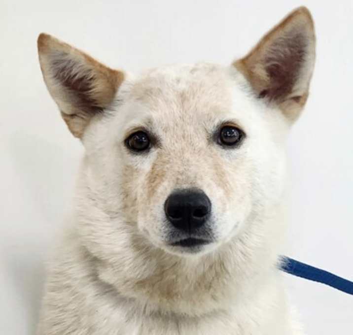 Photo of Cumulus