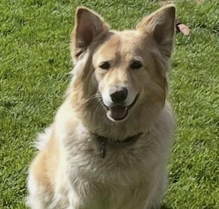 Photo of Ukii