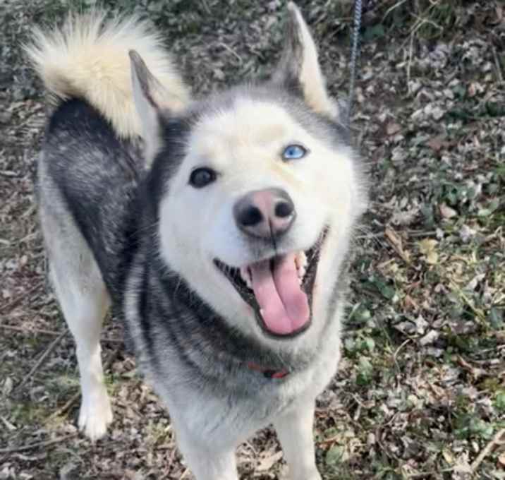 Photo of Ace