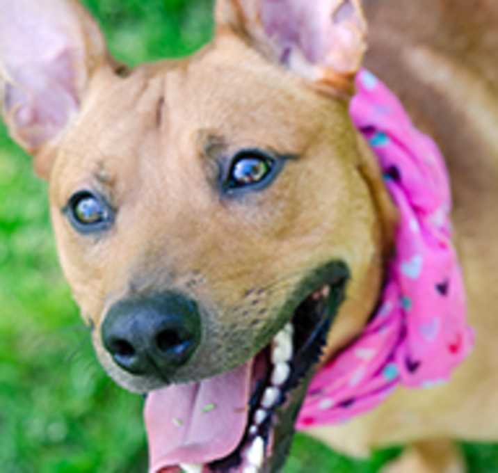 Photo of Ajax