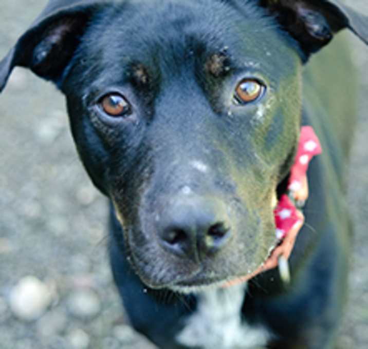 Photo of Outlaw