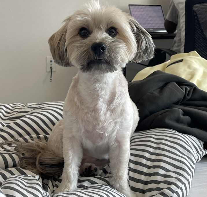 Photo of Gucci