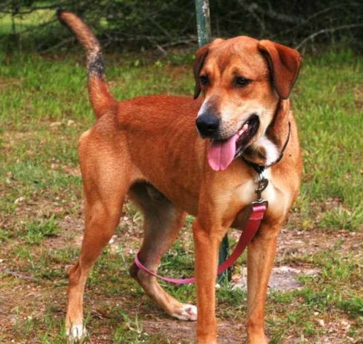 Photo of Oscar