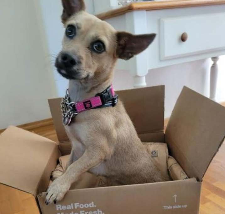 Photo of Annie