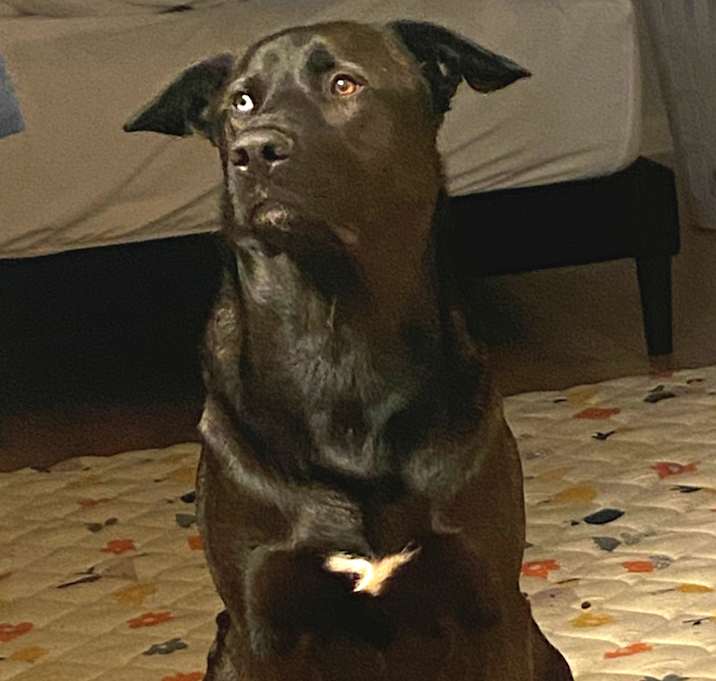 Photo of KATO