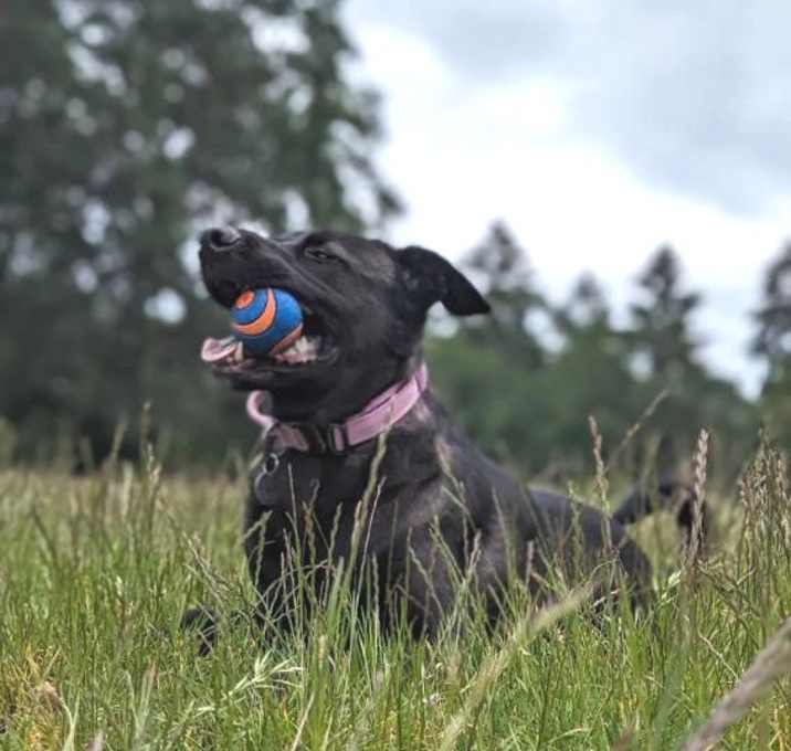 Photo of KATO