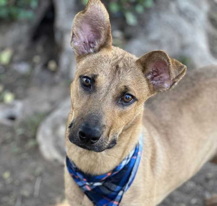 Photo of Rocket