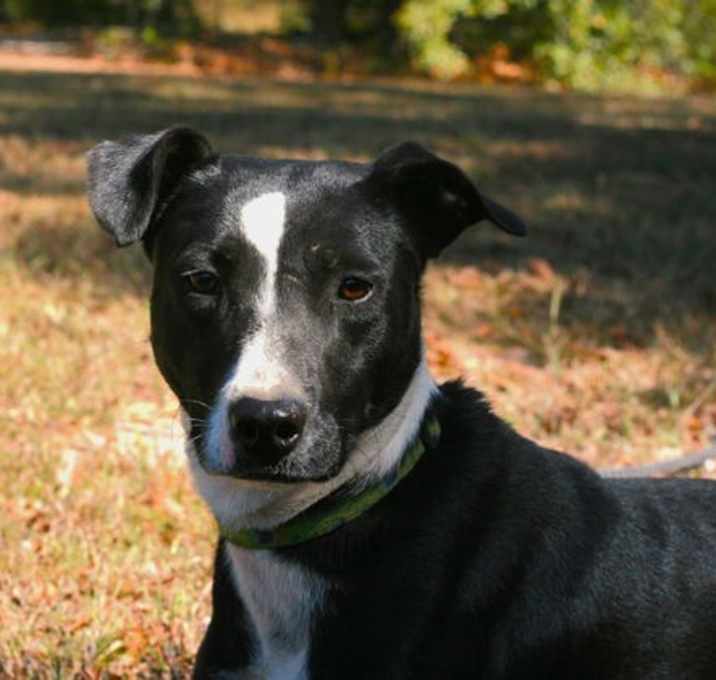 Photo of Maverick