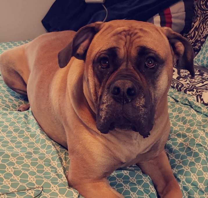 Photo of Theo