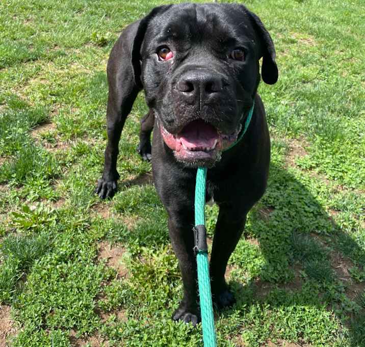 Photo of Debo
