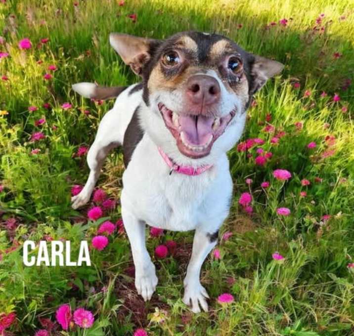 Photo of Carla