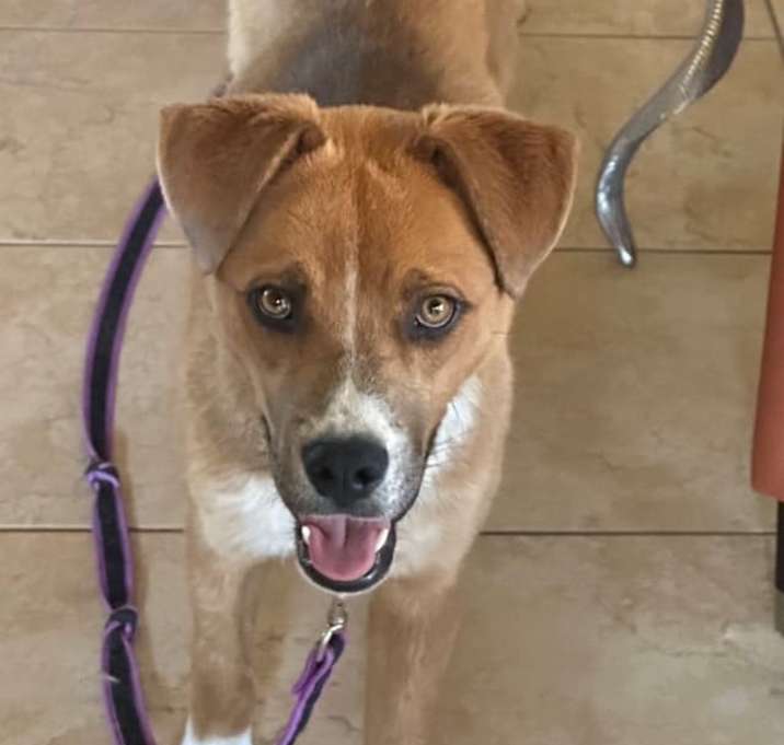 Photo of Taz