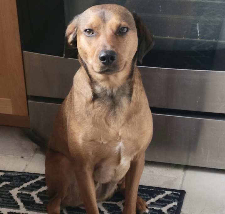 Photo of ARLO