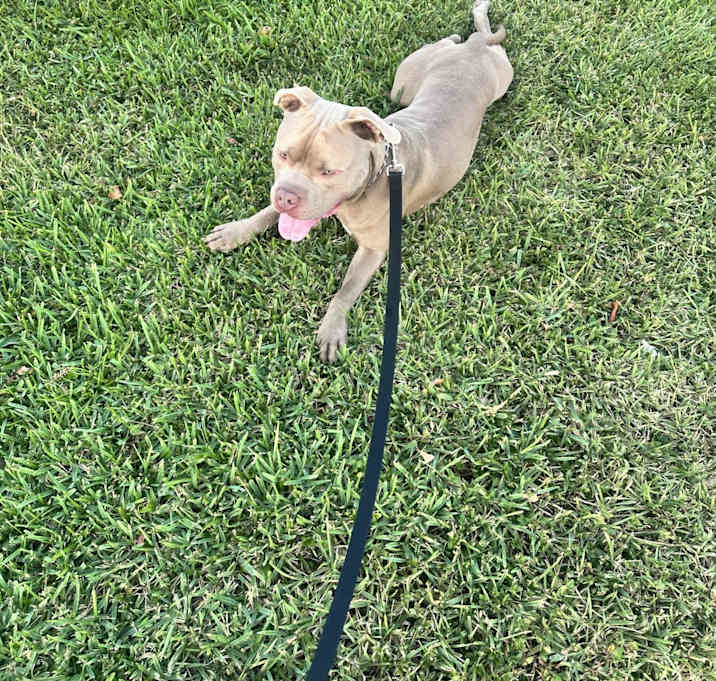 Photo of Zeus