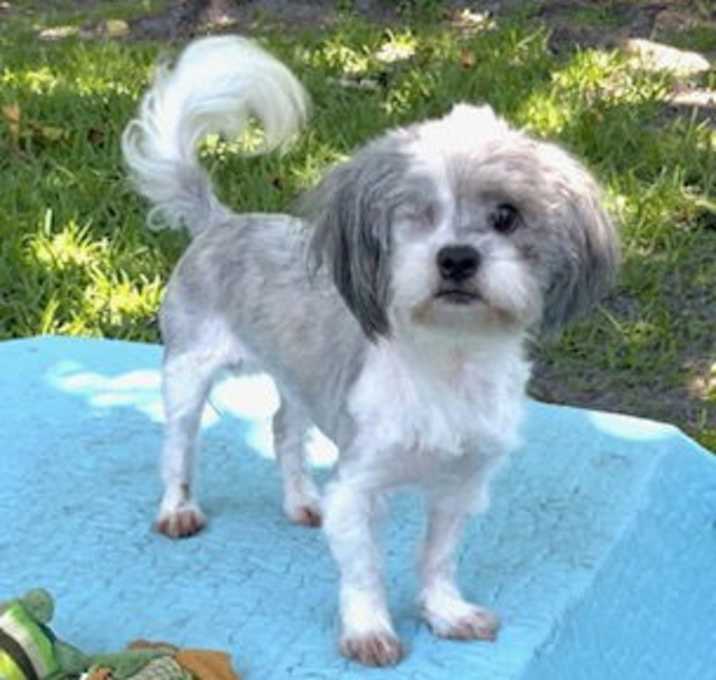 Photo of Connor