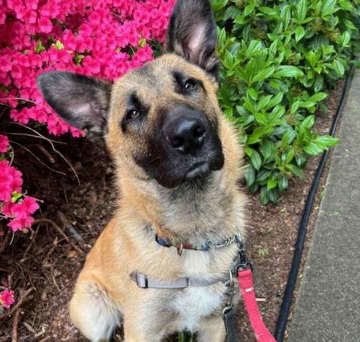 Photo of Sammy