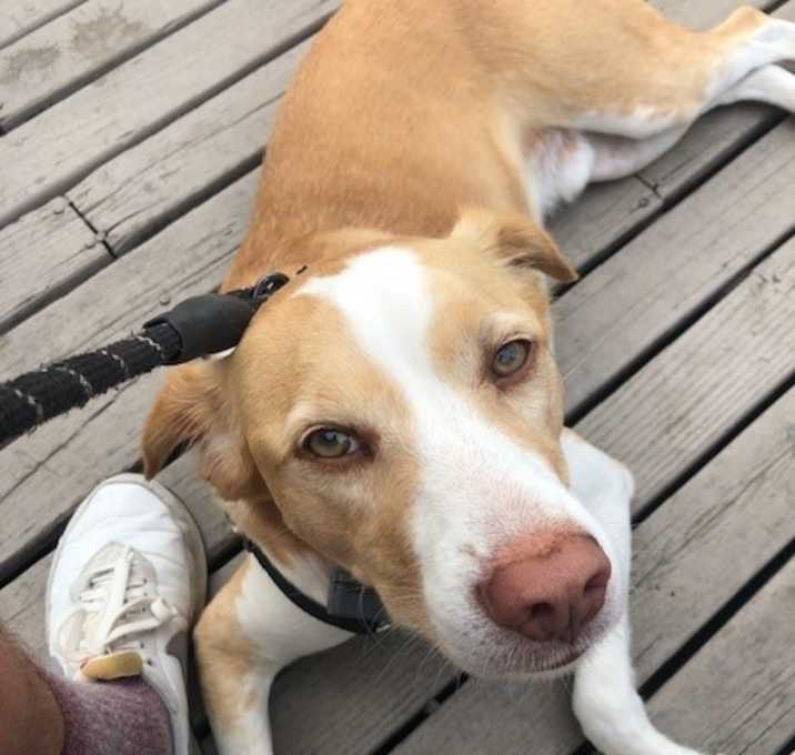Photo of Bleu