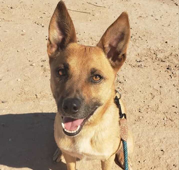 Photo of MAX