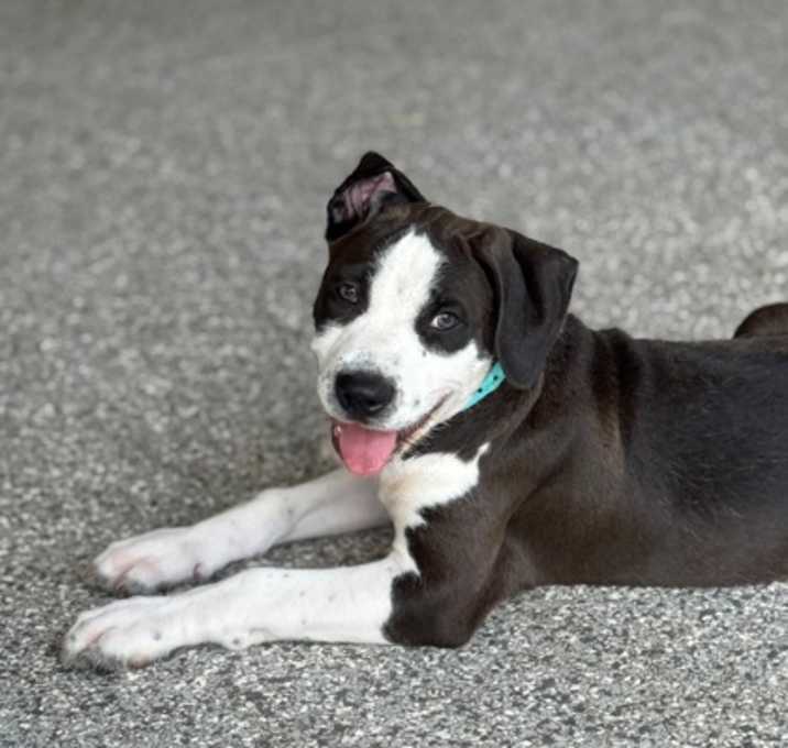 Photo of COOPER