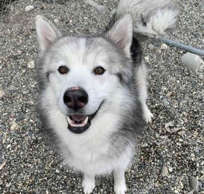 Photo of DUKE