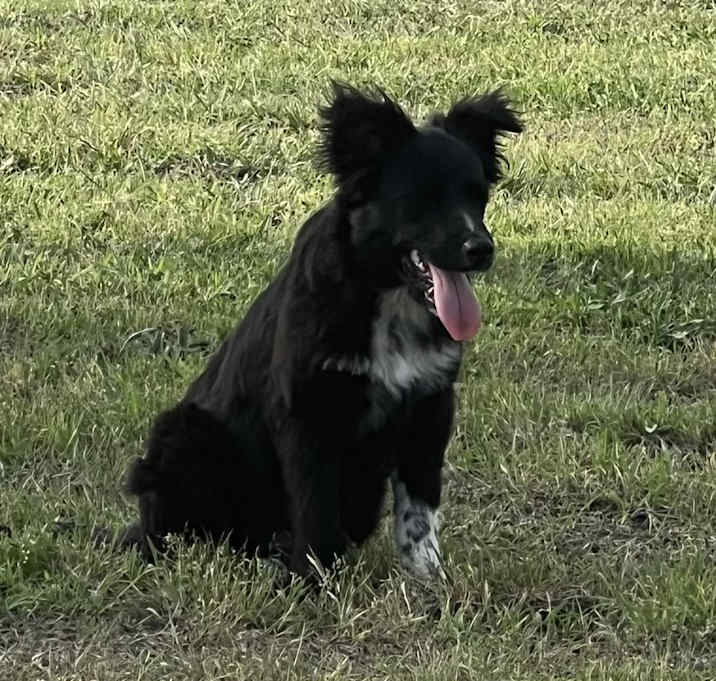 Photo of Outlaw