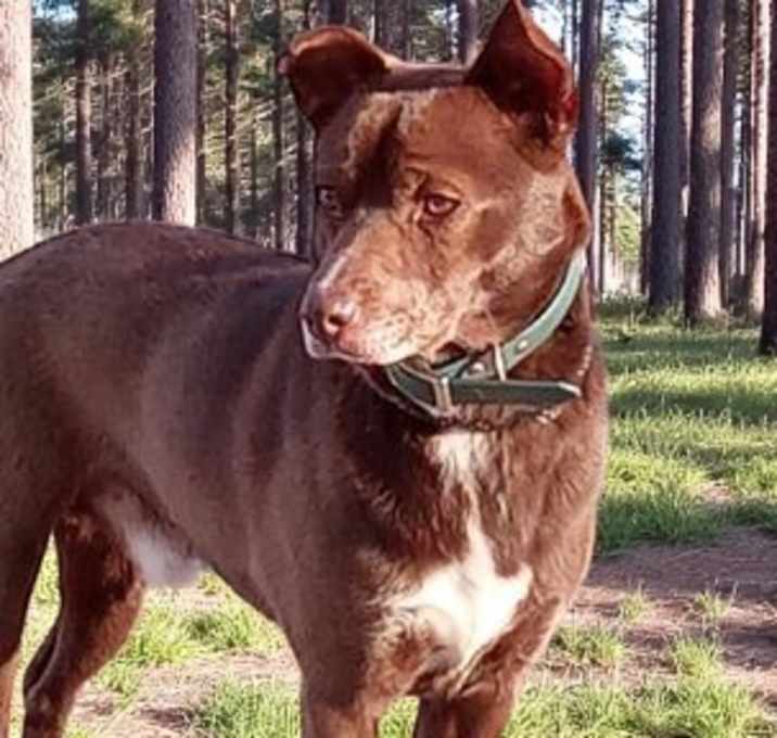 Photo of Hershey