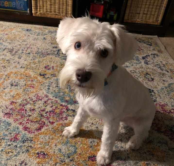 Photo of Ghost