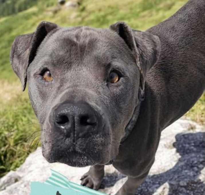 Photo of Baby Blue