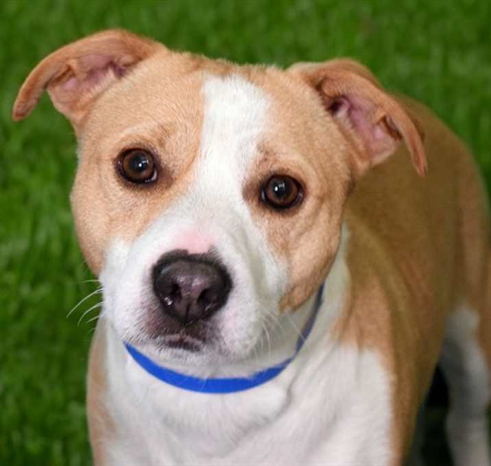 Photo of APOLLO