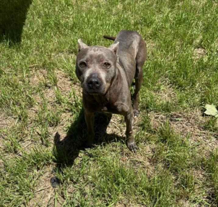Photo of Coco