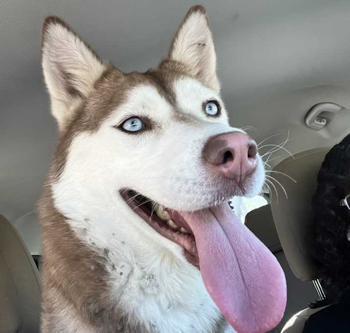 Photo of Hazel